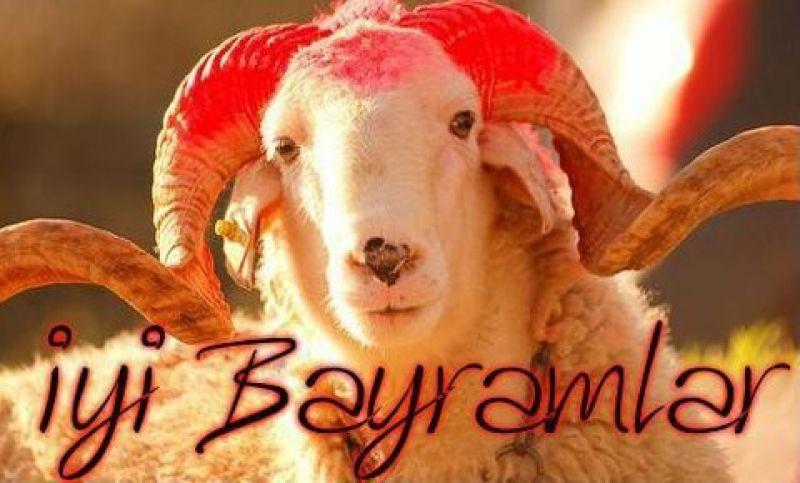 KURBAN BAYRAMINIZ KUTLU OLSUN 